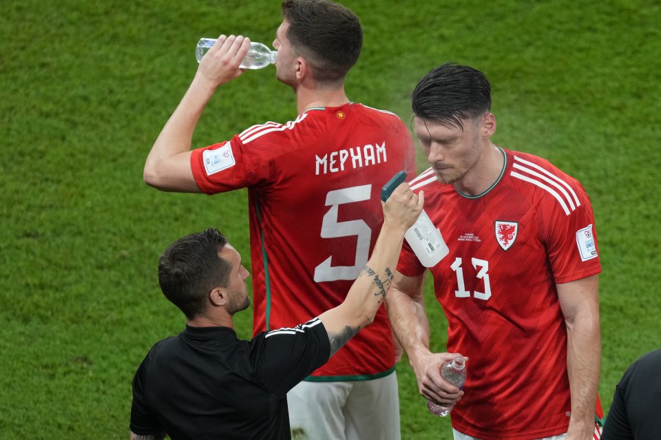 Chris Mepham and Kieffer Moore were both dumped out with Wales