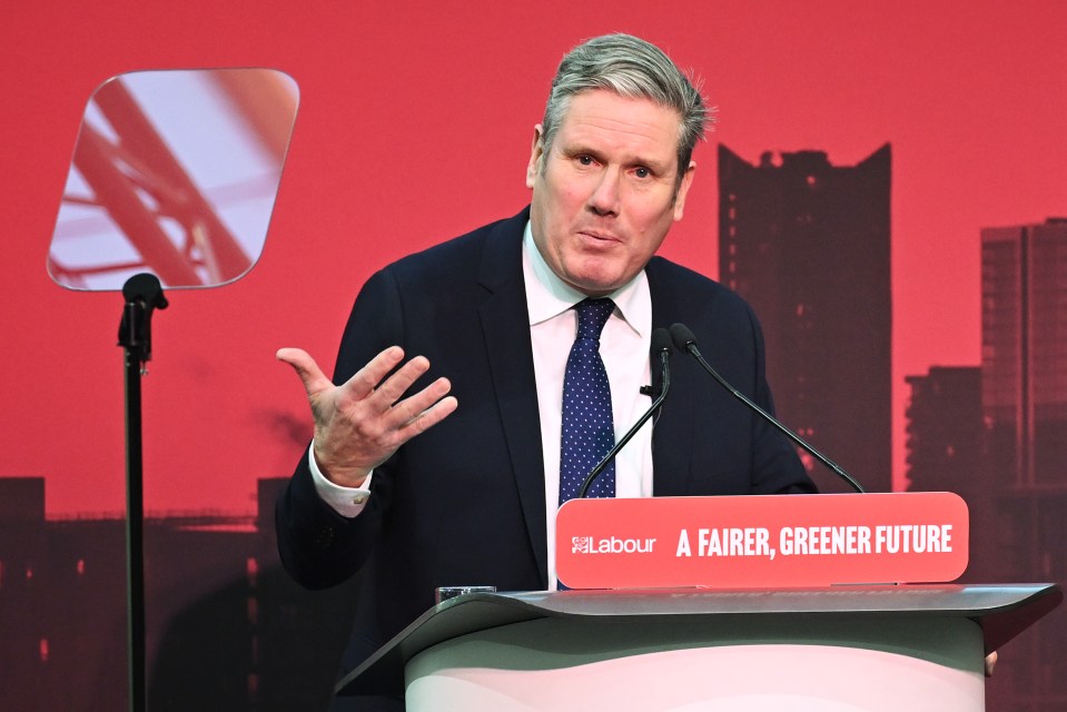 Elizabeth says the victims of the Rotherham grooming gangs feel 'betrayed' by Sir Keir Starmer over the appointment of Dominic Beck as a Labour candidate