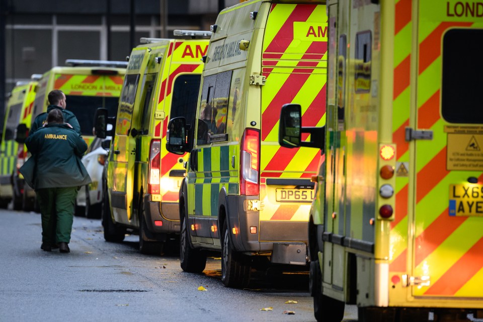 NHS bosses have warned the sick and frail may have to get taxis or drive themselves to hospital instead of using an ambulance