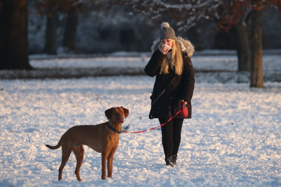 A woman walking her dog in the snow covered Greenwich Park, London