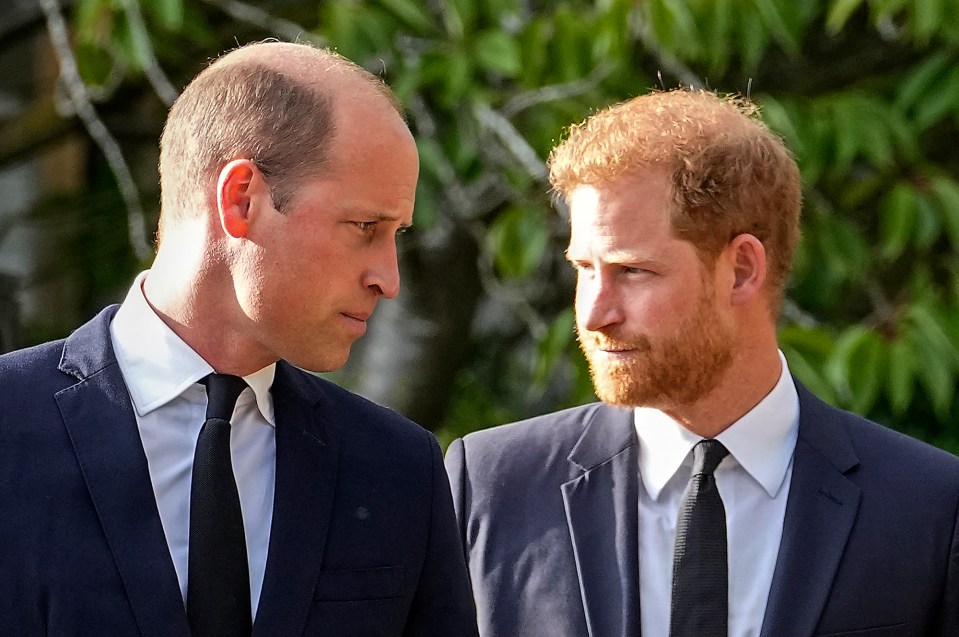 Harry lashed out at William in his Netflix documentary