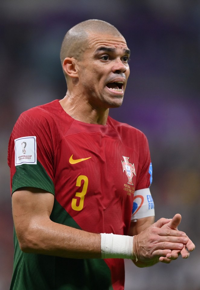 Pepe has been backed to play on for another five years