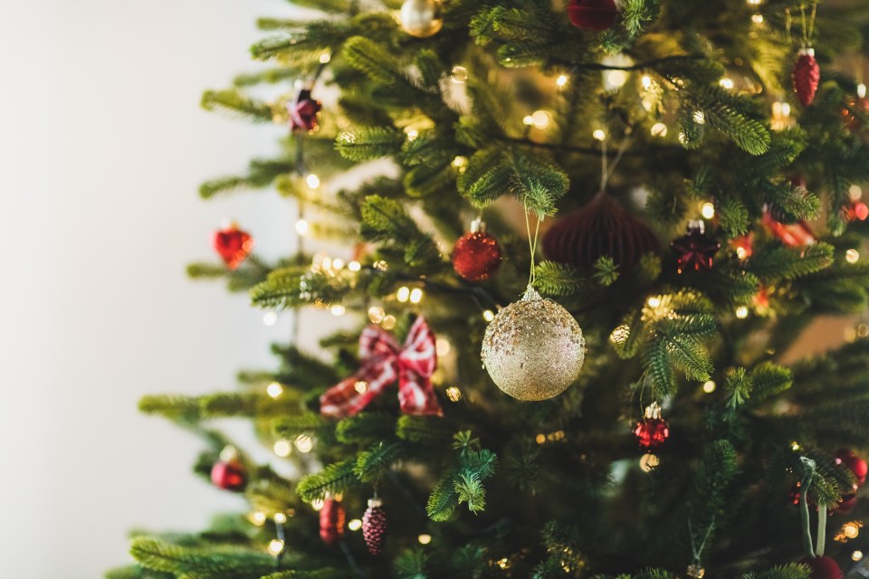 Tesco shoppers can get a real Christmas tree for just £5