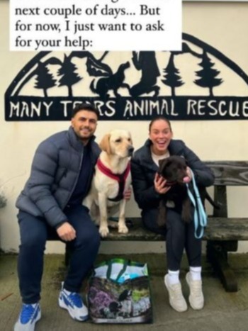 The couple gave the chocolate Labrador his forever home