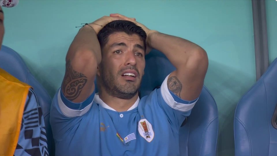 Luis Suarez was distraught after learning of South Korea's winner against Portugal