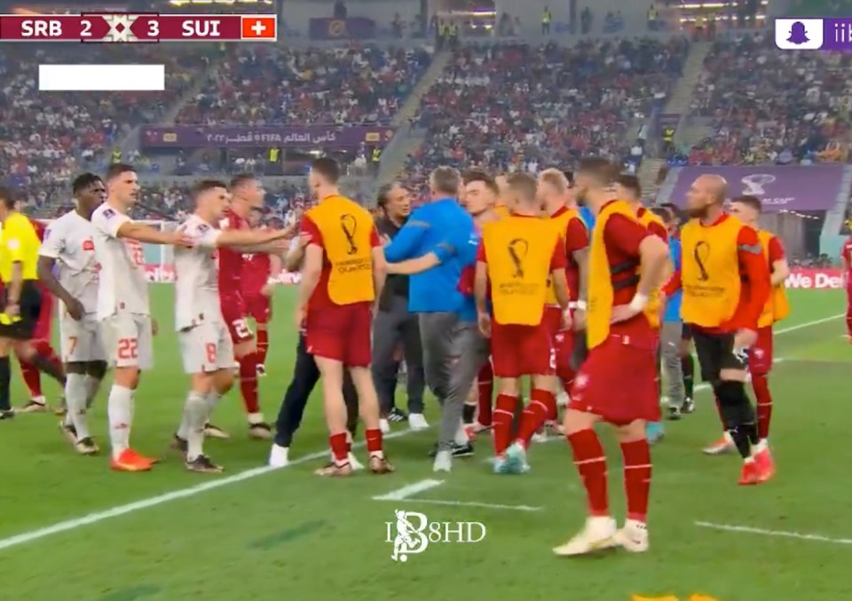 It sparked a pitch invasion from the Serbia bench