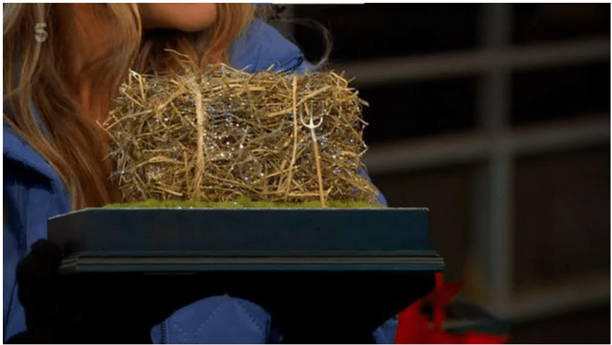 Helen said the bale trophy which was made out of hay meant more to her than the Strictly prize