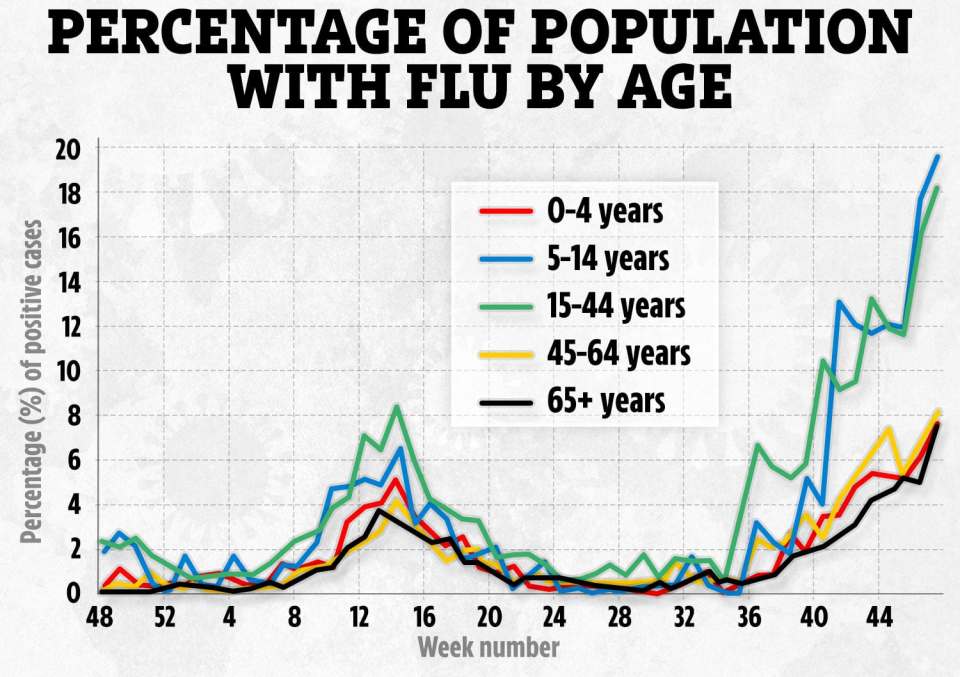 The chart above shows how cases of the flu have increased in all ages - but mainly in those aged five to 14