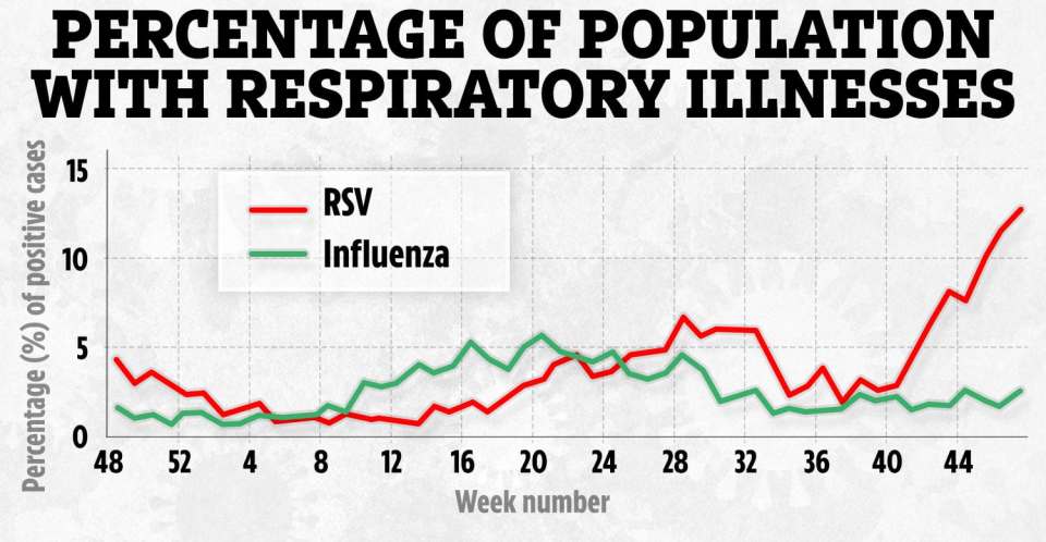 This chart shows how RSV and the flu have increased as a population. RSV is the red line and flu is the green line