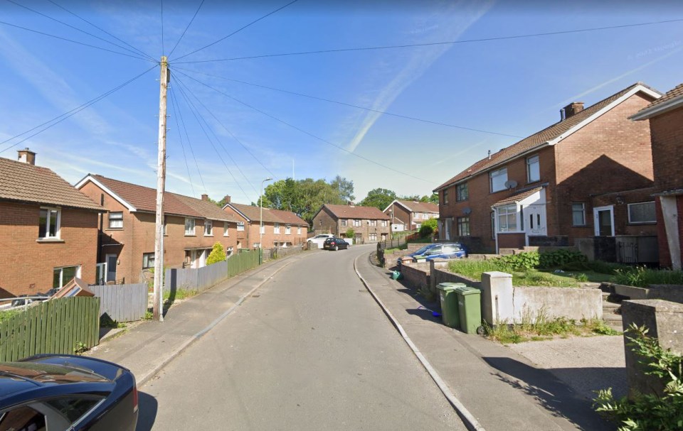 An 83-year-old woman has died following a dog attack