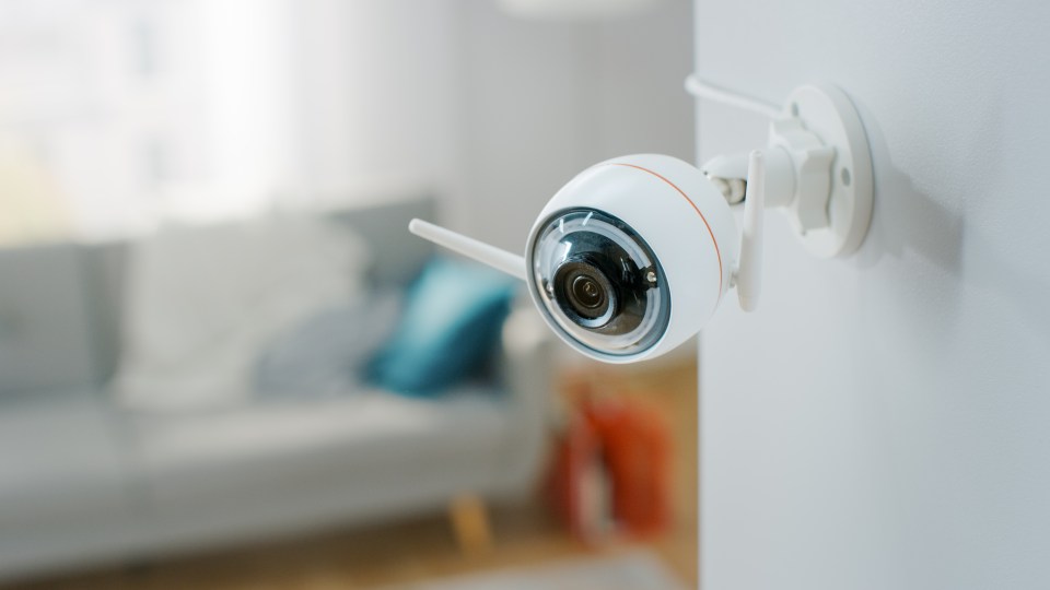 The cameras are not always easy to spot, but infared detectors speeds up the process