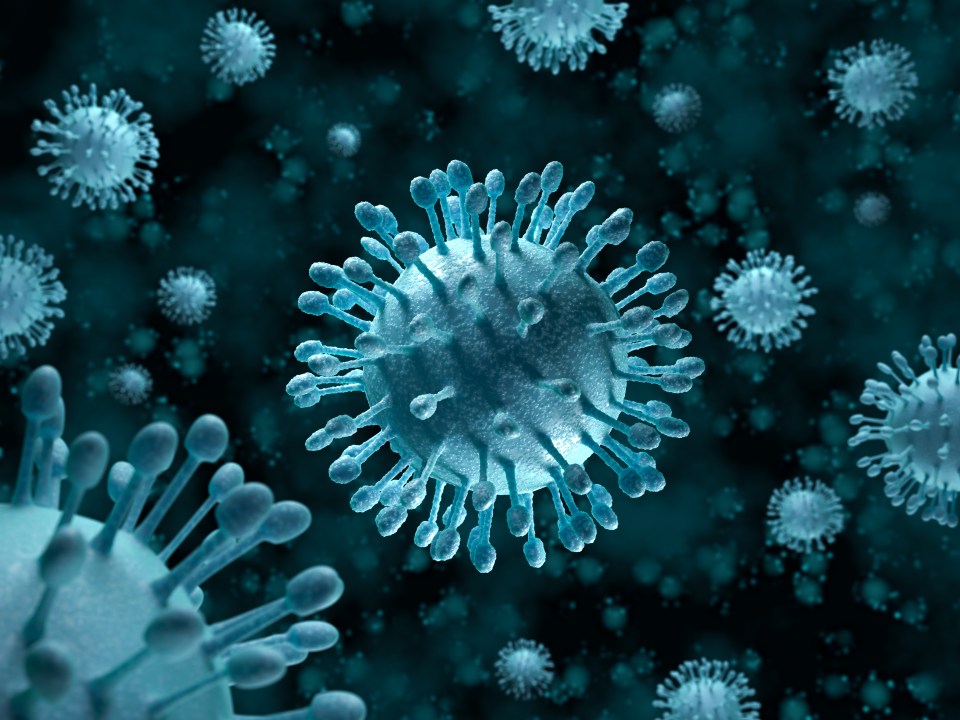 Hepatitis B and C viruses are the most severe strains of the disease