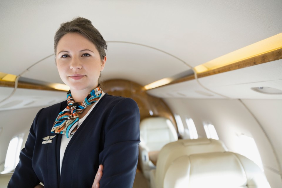 The flight attendant said Scandinavians are the best-behaved passengers (stock image)