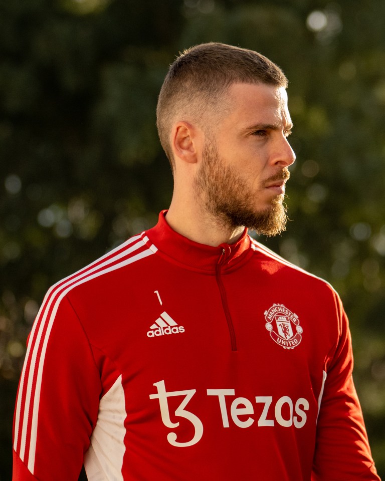 Goalkeeper David de Gea is back in his homeland