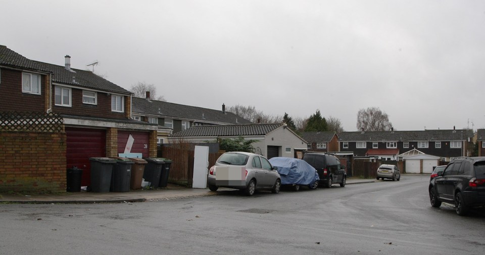 The Luton estate where Andrew Tate’s mother Eileen lives