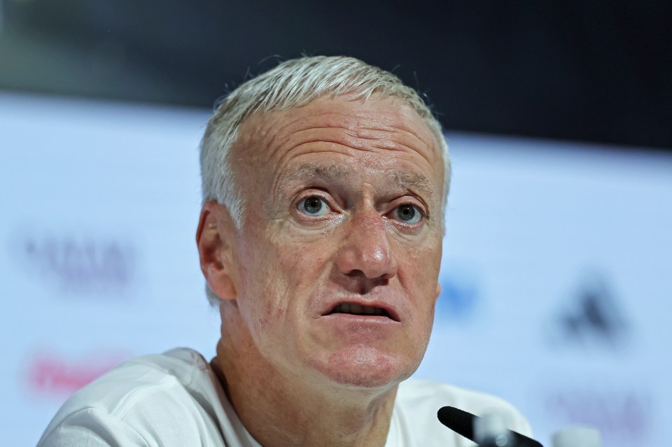 Didier Deschamps lashed out at a reporter for asking about Karim Benzema