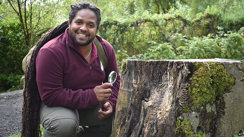 Hamza Yassin has already been approached to front a BBC nature programme