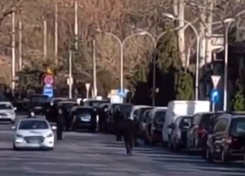 The long line of hearses outside the Beijing crematorium