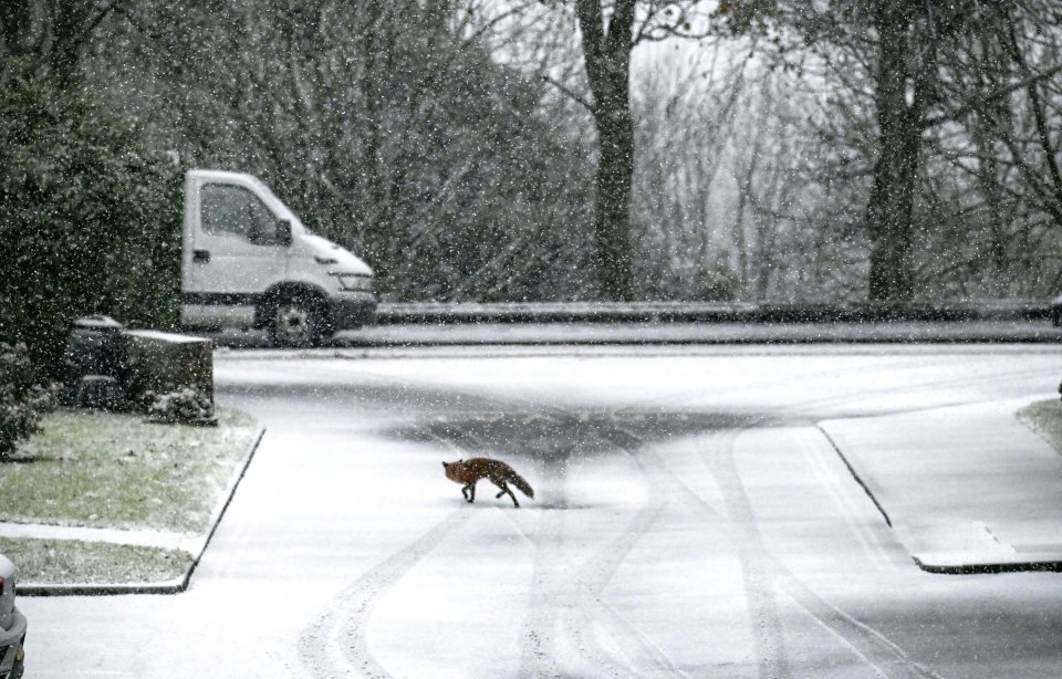 Snow in the South East has caused newspaper delays