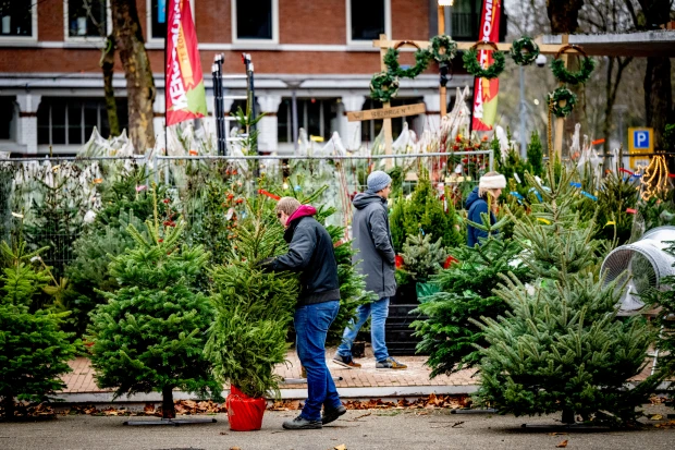 Families across the country have brought Christmas trees inside for the festive season