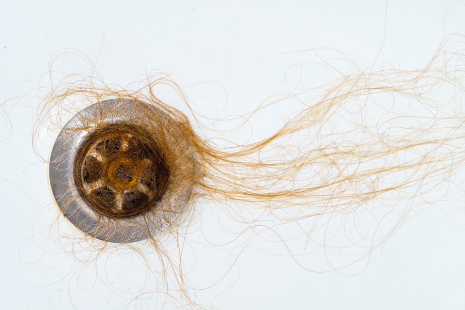 Bathroom drains often become blocked by hair and dirt