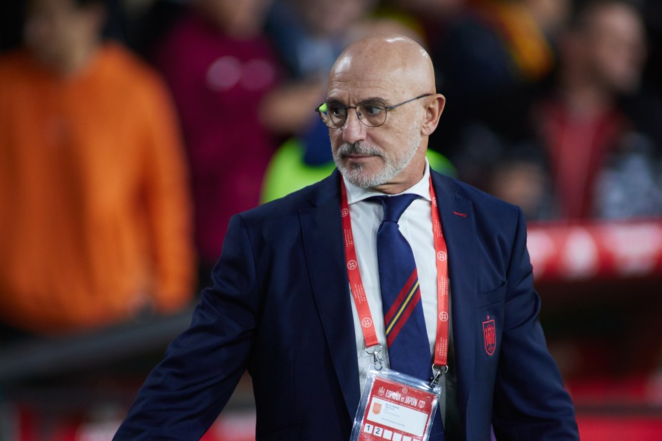 Luis de la Fuente has been announced as Spain's new head coach