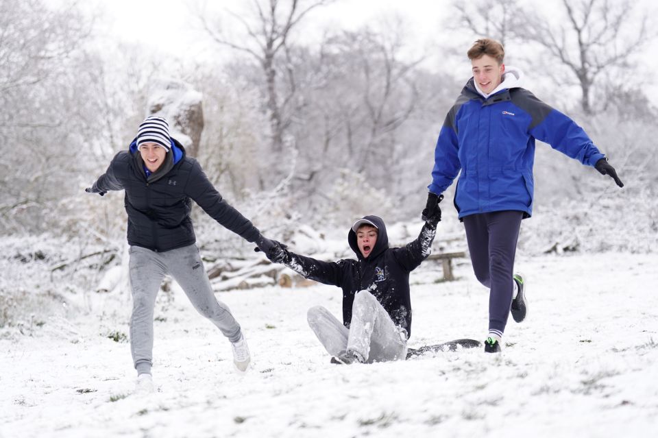 People sledging in Richmond Park today as schools were closed across the country