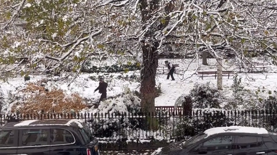 Six Met cops were reported to bosses after starting a snowball fight - clip shows officers hurling snow in park