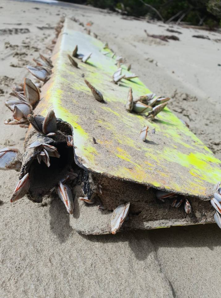 Debris thought to be from MH370 found on a remote beach in Australia's far north