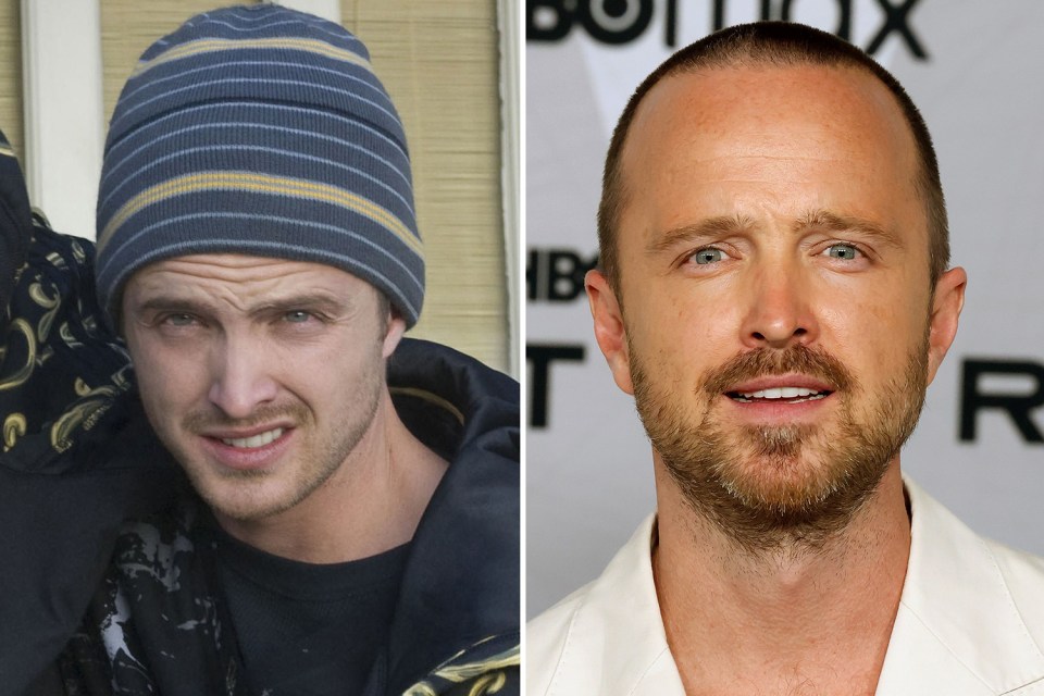 Aaron Paul is now a dad of two