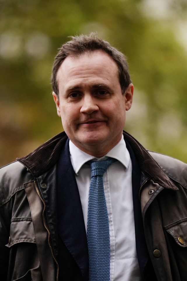 Tom Tugendhat fears the video sharing app will be used to ‘influence minds’ of first-time voters