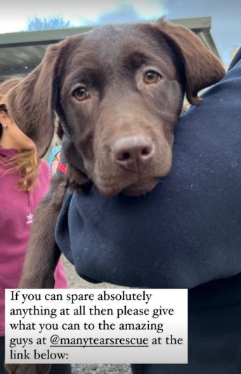 The TV star was chuffed to become the proud dog mum of Max