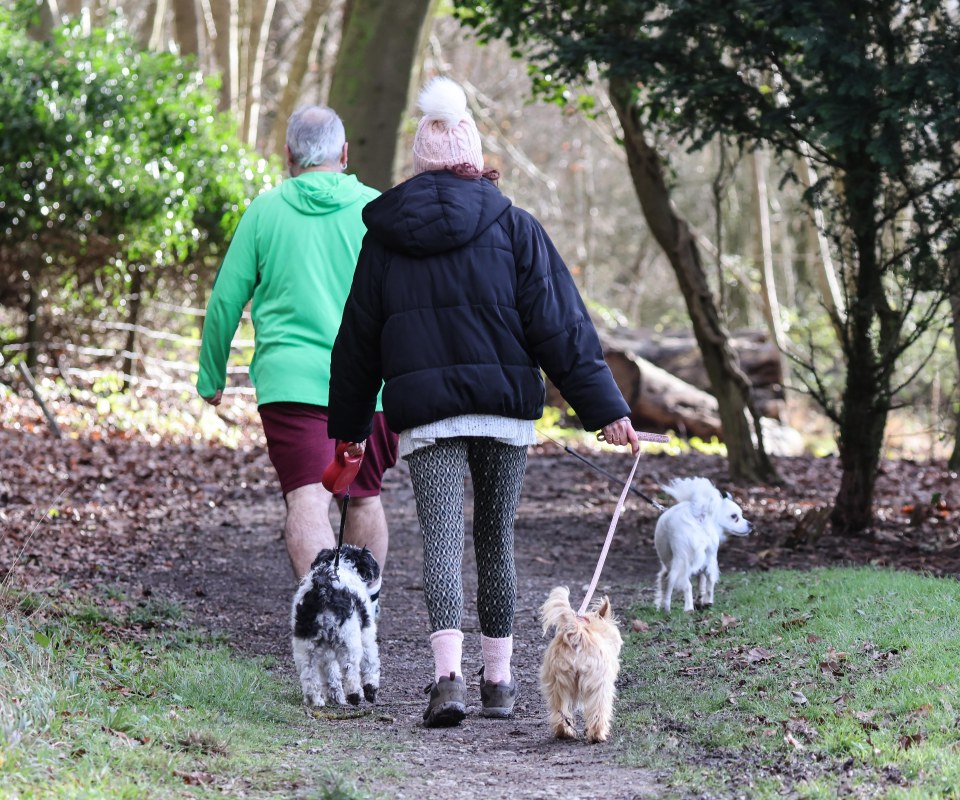 Other dog walkers near the scene of the attack