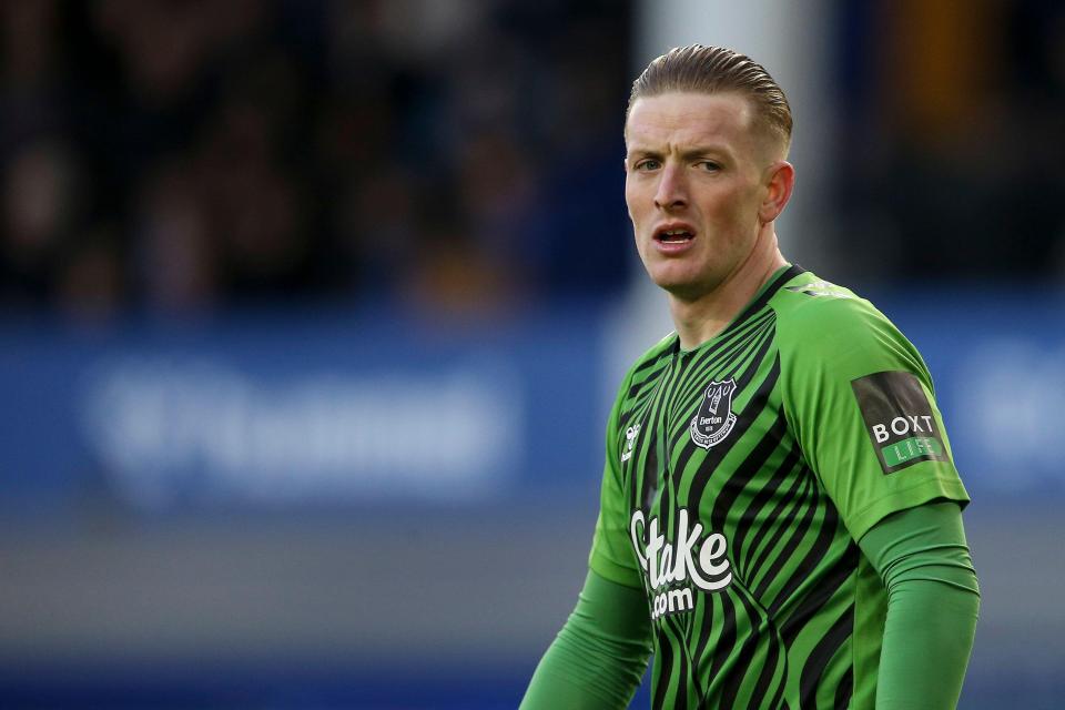 Jordan Pickford has played well for a dismal Everton side this season