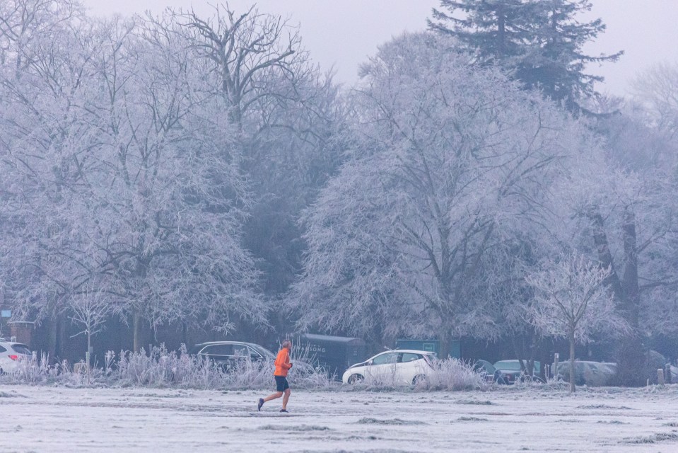 A frozen Wimbledon Common, London