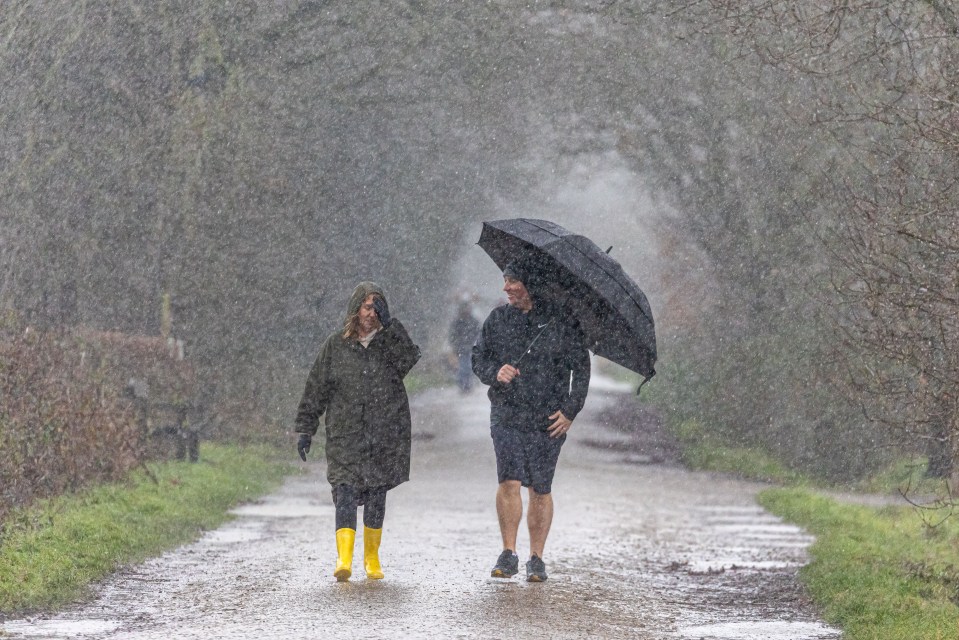 Wet and windy weather could soon be on the cards