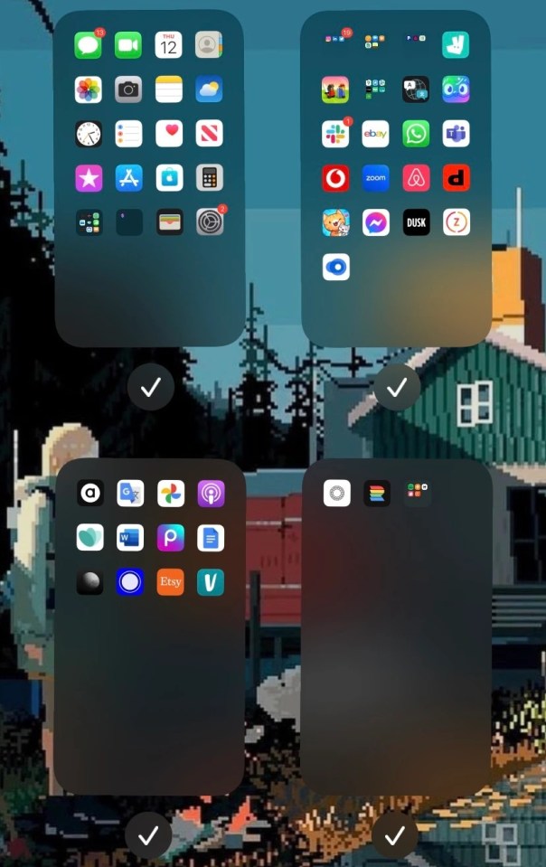 To go one step further, you can even hide entire Home Screen pages - keeping multiple apps at once out of eye view