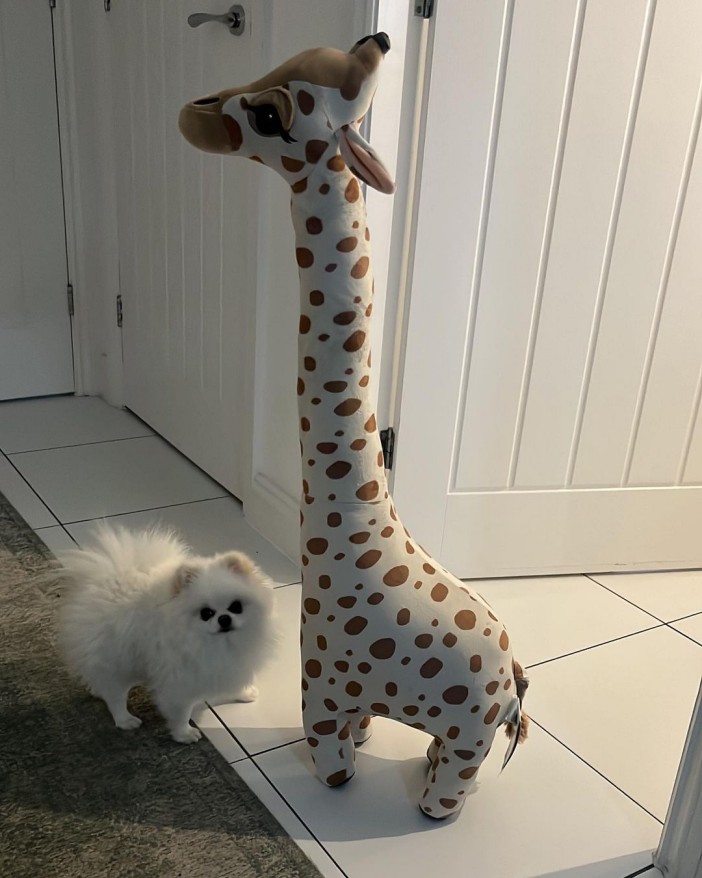 It includes this giant giraffe - posed next to her tiny dog for size comparison