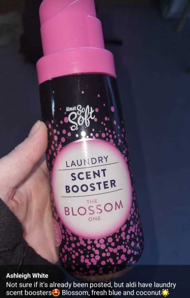 A Facebook user has shares the £2.39 Lenor scent booster dupes she found in Aldi