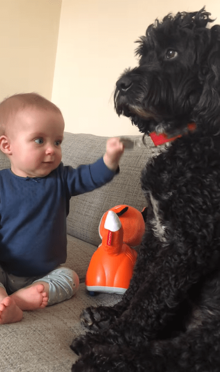 The media personality shared a short clip of her child with one of her dogs