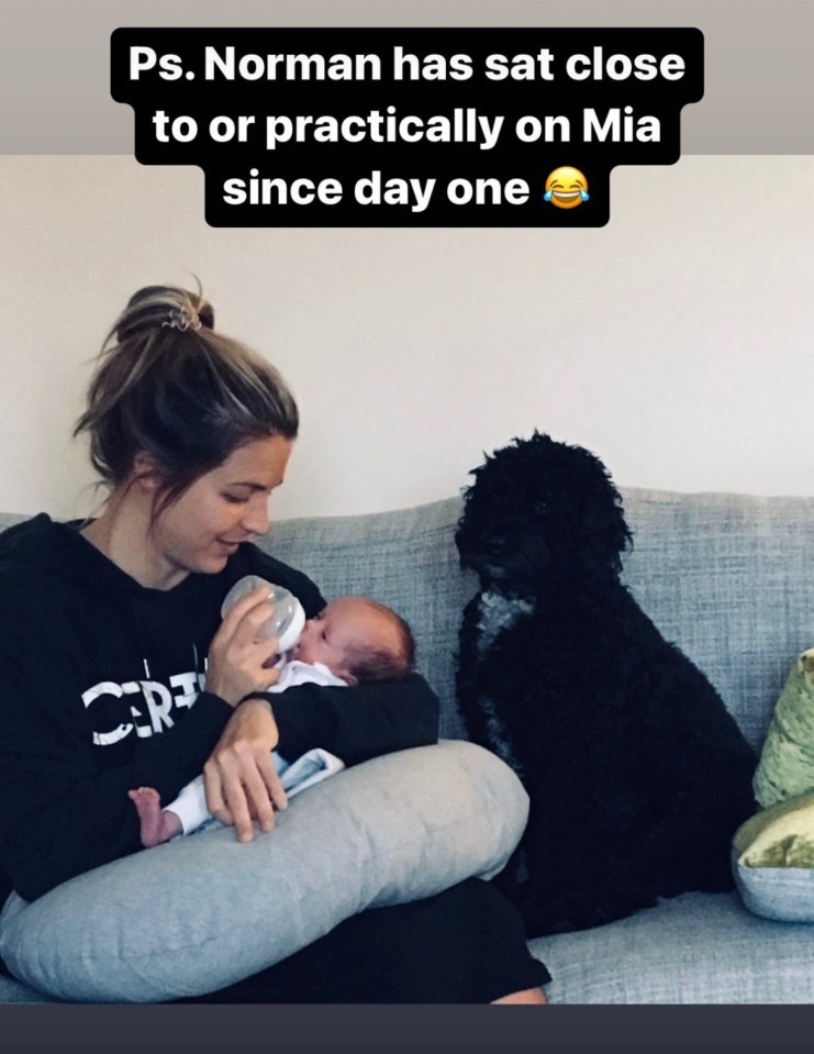 Gemma has two dogs at her home