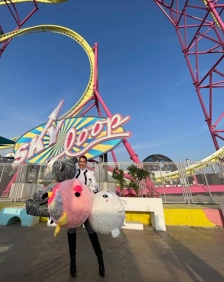 The family were visiting the Riyadh Season Winter Wonderland, which has the "longest rollercoaster in the world"