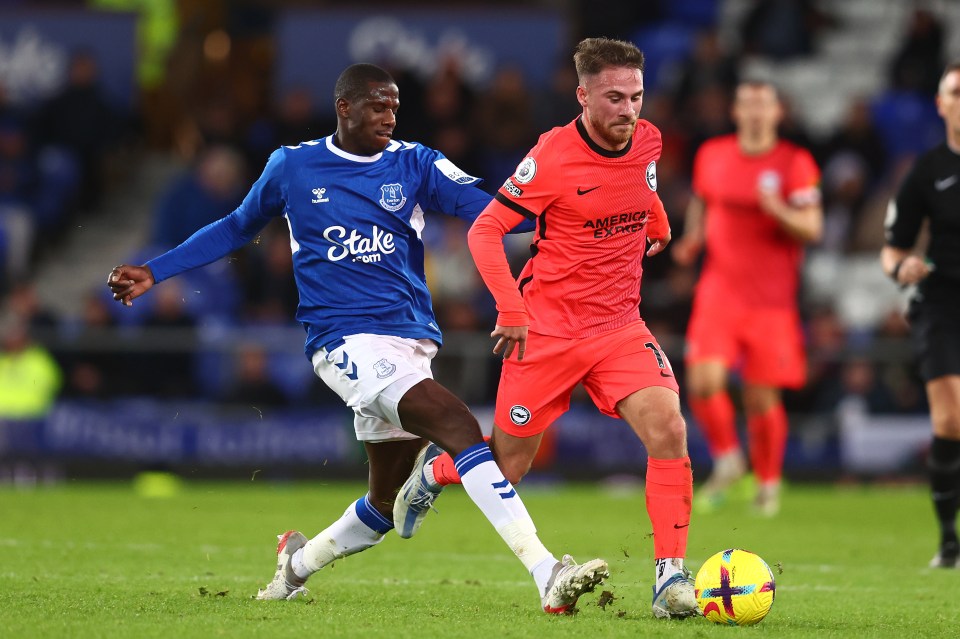 Abdoulaye Doucoure, left, is being linked with a move away from Everton