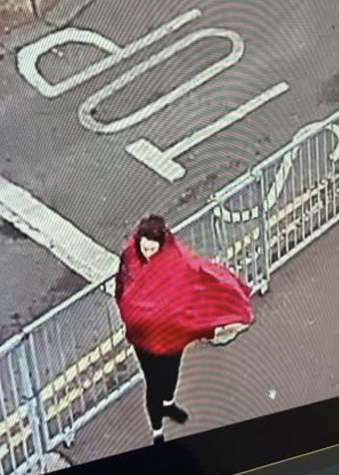 A CCTV image which is believed to be Constance outside Harwich Port in Essex