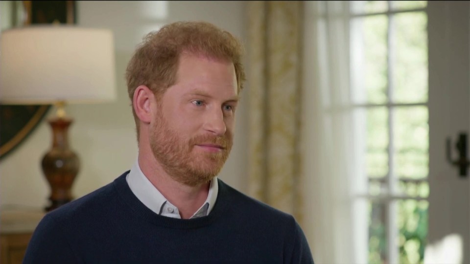 Prince Harry recounting an altercation with his brother, Prince William