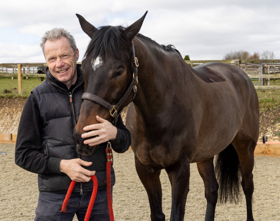 The iconic horse, with that familiar white mark on his head, had been living out his retirement with former Grand National-winning jockey Fitzgerald