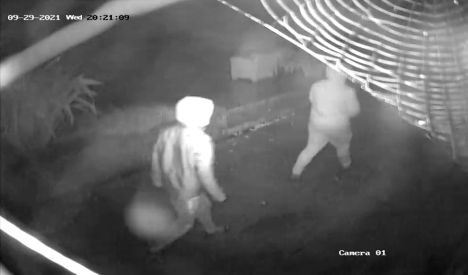 CCTV footage has revealed the terrifying moment the men stalked into the home