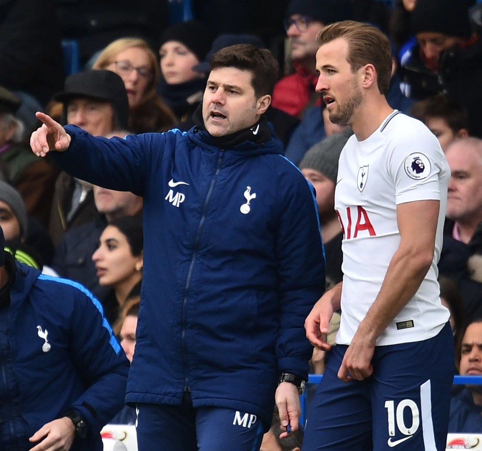 Pochettino could be tempted to swoop for Harry Kane if he is appointed Chelsea boss