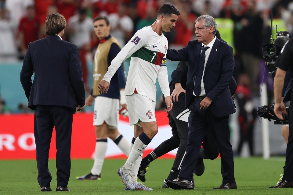 Fernando Santos enjoyed an eight-year spell as Portugal manager