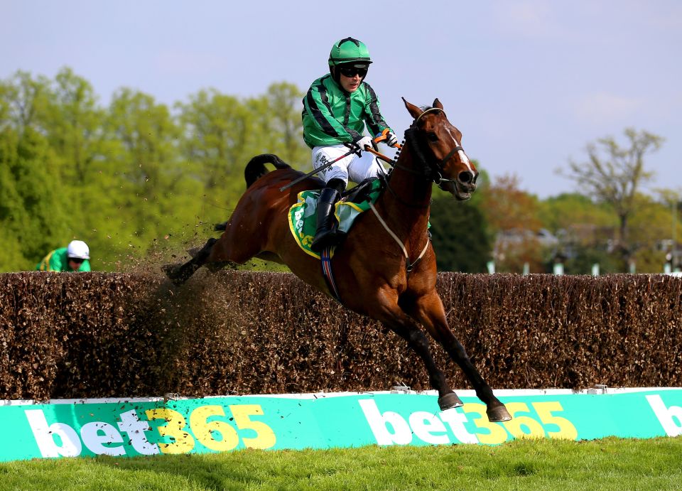 He has been a revelation for Hanlon, winning several big races over jumps